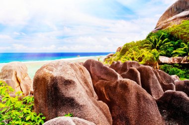 Tropik ada. Seychelles.Toned resim.