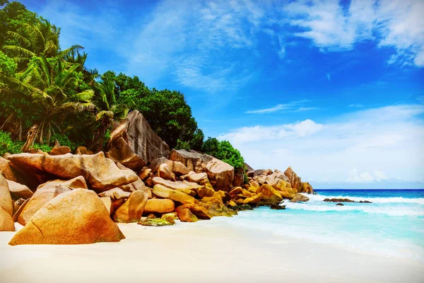Tropische Insel. das seychelles.getönte Bild. — Stockfoto