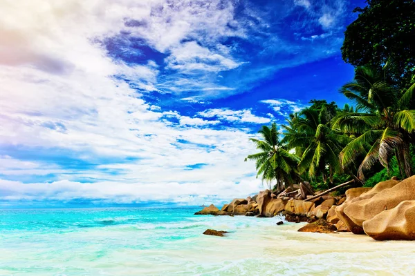 Trópusi szigeten. A Seychelles.Toned kép. — Stock Fotó
