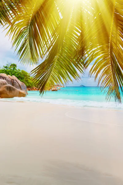 Isola tropicale. Le Seychelles.Immagine tonica . — Foto Stock