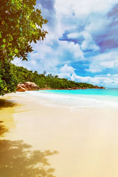 Tropisk ö. Seychelles.Toned bilden. — Stockfoto