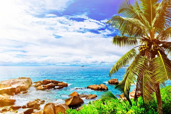 Ilha tropical. As Seychelles.Toned imagem . — Fotografia de Stock