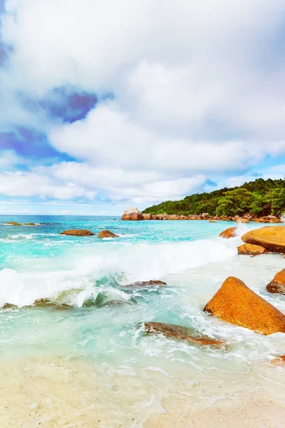 熱帯の島。Seychelles.Toned 画像. — ストック写真