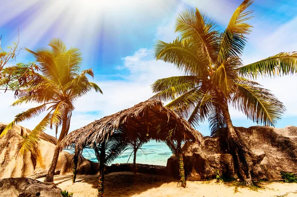 Ilha tropical. As Seychelles.Toned imagem . Fotos De Bancos De Imagens Sem Royalties