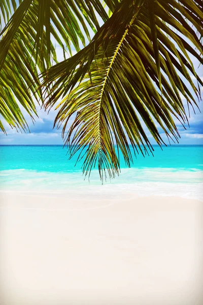 Isla tropical. Las Seychelles.Imagen tonificada . — Foto de Stock
