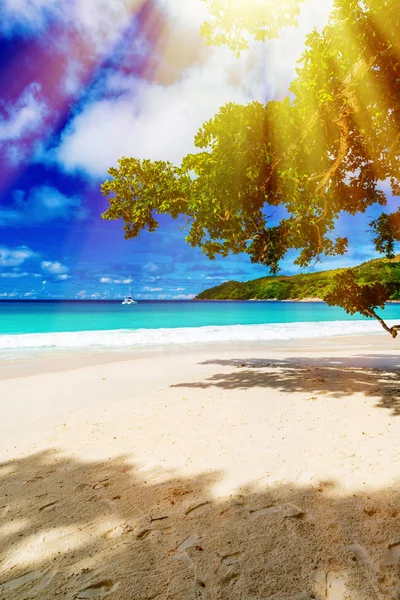 Tropical island. The Seychelles.Toned image. — Stock Photo, Image