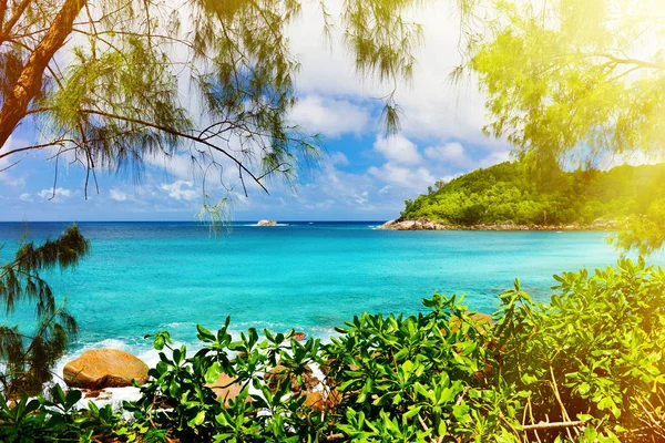 Isla tropical. Las Seychelles.Imagen tonificada . —  Fotos de Stock