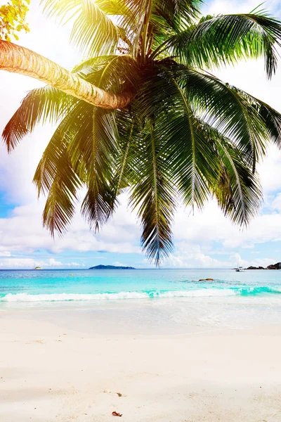 Tropik ada. Seychelles.Toned resim. — Stok fotoğraf