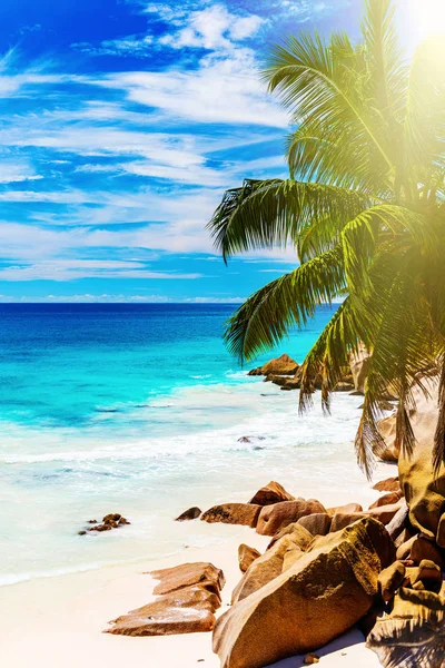 Tropical island. The Seychelles.Toned image. — Stock Photo, Image