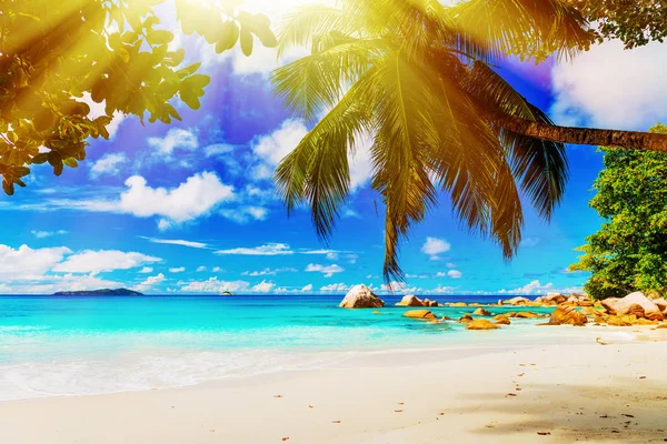 Tropisk ö. Seychellerna — Stockfoto