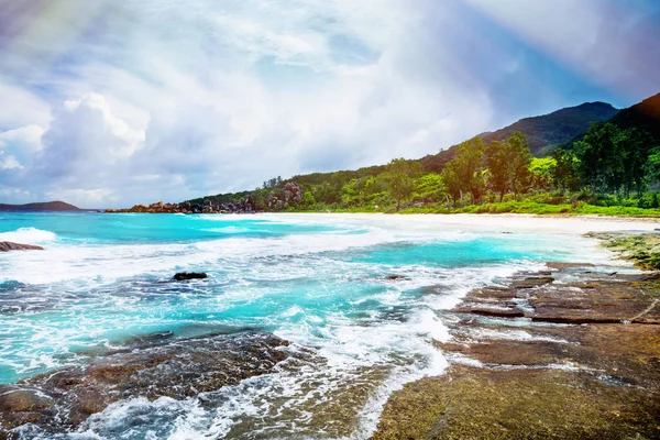 Île tropicale. Les Seychelles — Photo