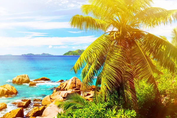 Tropikalna wyspa. Seszele — Zdjęcie stockowe