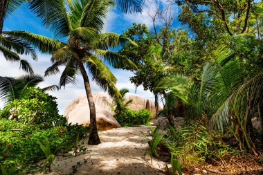 Tropikal plaj. Seyşel Adaları