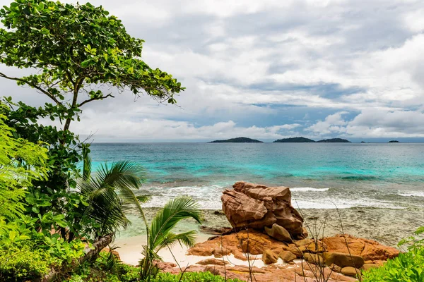 Tropisch strand. De Seychellen — Stockfoto