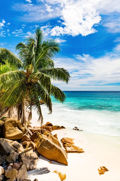 Tropikalnej plaży. Seszele — Zdjęcie stockowe