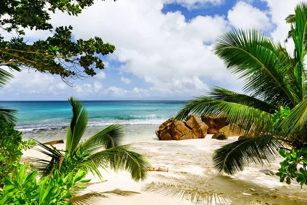 Tropenstrand. die seychellen — Stockfoto