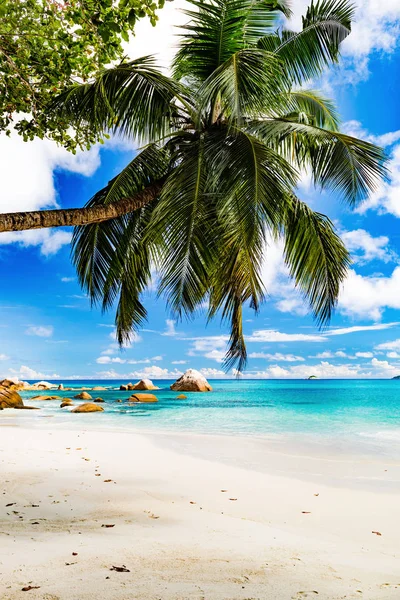 Фото удивительного тропического пляжа — стоковое фото