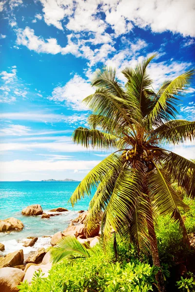 Tropik ada. Seyşel Adaları. Tonlu görüntü. — Stok fotoğraf