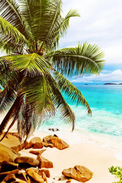 Tropisk ö. På Seychellerna. Tonad bild. — Stockfoto