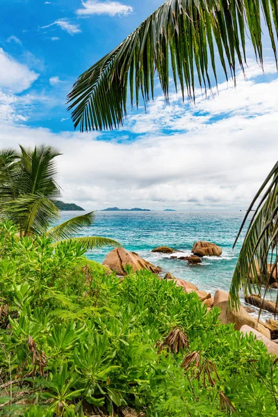 令人惊叹的热带海滩的照片 — 图库照片