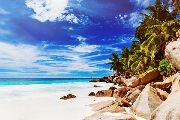 Tropical island. The Seychelles. Toned image. — Stock Photo, Image