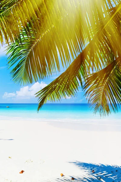 Zdjęcie z tropikalnej plaży na słoneczny dzień — Zdjęcie stockowe