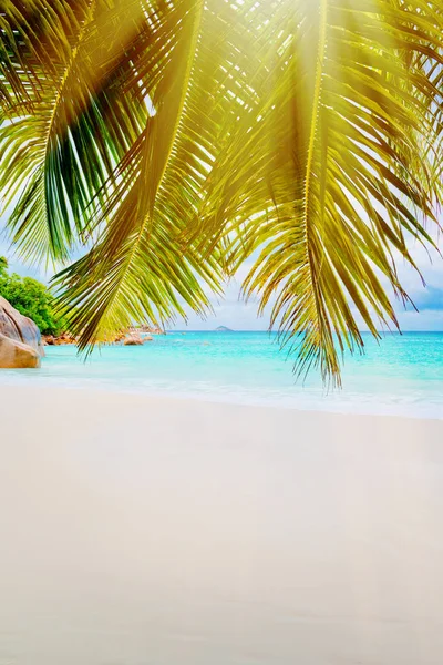 Foto av en tropisk strand på den soliga dagen — Stockfoto