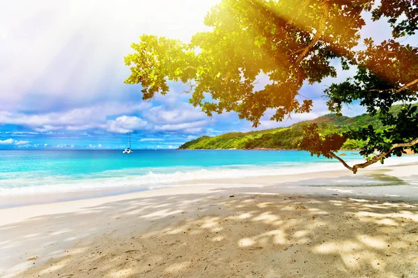 Foto de uma praia tropical no dia ensolarado — Fotografia de Stock