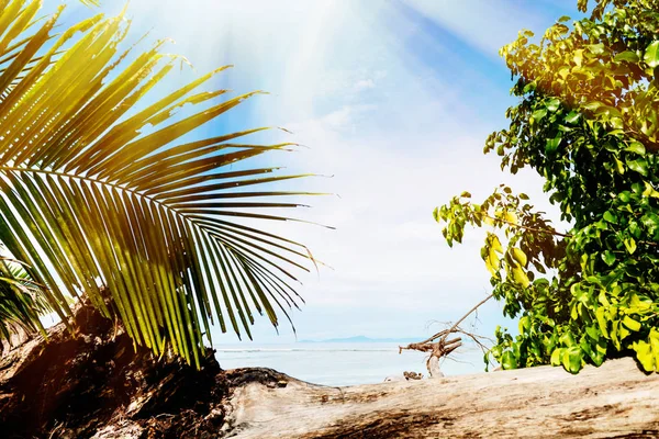 Foto de uma praia tropical no dia ensolarado — Fotografia de Stock