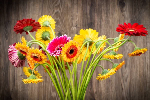 Verschiedene Blumen auf Holzgrund — Stockfoto