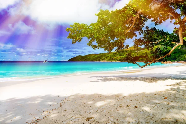 Foto de uma praia tropical no dia ensolarado. Imagem tonificada — Fotografia de Stock