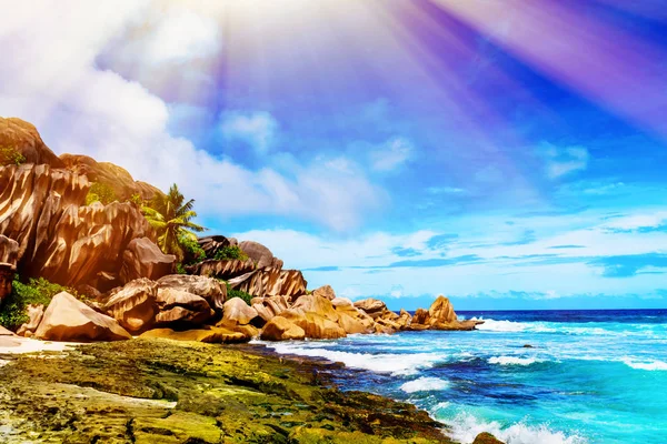 Foto di una spiaggia tropicale nella giornata di sole. Immagine tonica — Foto Stock