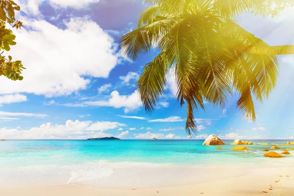 Foto van een tropisch strand op de zonnige dag. Getinte afbeelding — Stockfoto
