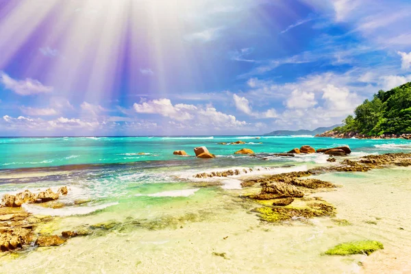 Фото тропического пляжа в солнечный день — стоковое фото