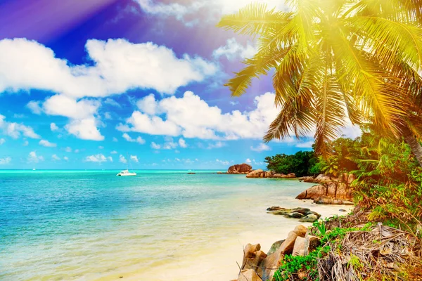 Foto van een tropisch strand op de zonnige dag — Stockfoto