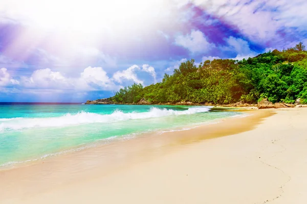 Foto de uma praia tropical no dia ensolarado — Fotografia de Stock