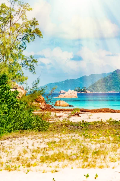 Foto Van Een Tropisch Strand Zonnige Dag Stockfoto