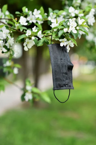 Çiçek açan ağaçta tıbbi siyah maske. Karantina COVID 19 ve pandemik koronavirüsü sonlandırın. 2020 baharında çiçek açan elma ağacı. Doğada güvenlik kavramı