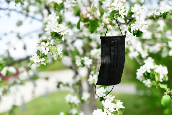 Çiçek açan ağaçta tıbbi siyah maske. Karantina COVID 19 ve pandemik koronavirüsü sonlandırın. 2020 baharında çiçek açan elma ağacı. Doğada güvenlik kavramı