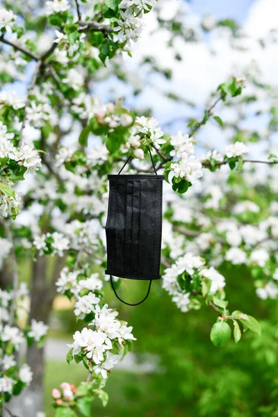 Çiçek açan ağaçta tıbbi siyah maske. Karantina COVID 19 ve pandemik koronavirüsü sonlandırın. 2020 baharında çiçek açan elma ağacı. Doğada güvenlik kavramı