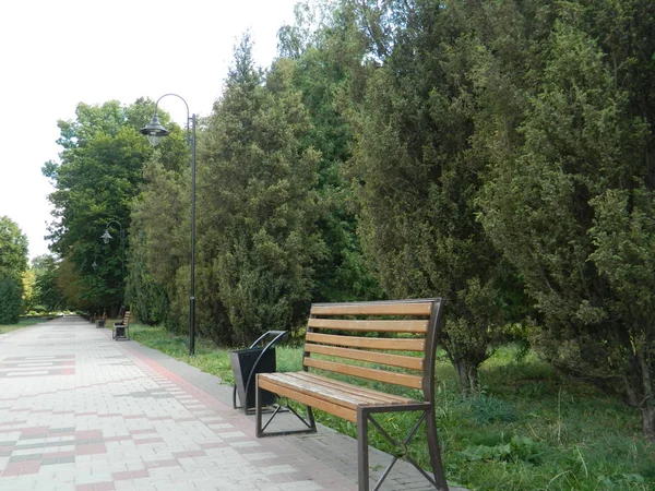 Banco Parque Verano Después Lluvia — Foto de Stock