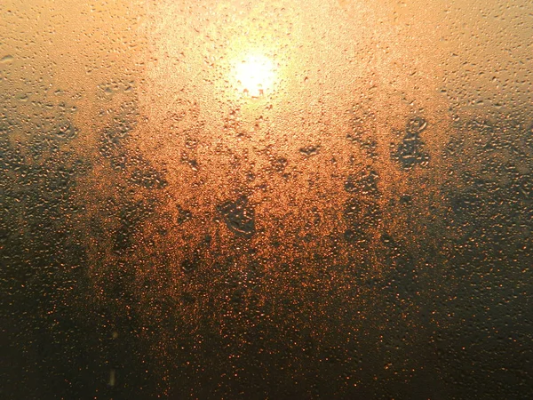 Camın üzerindeki çiy damlaları sabah güneşiyle aydınlanır..