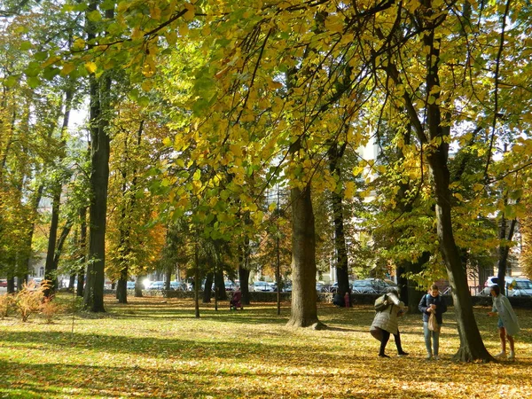 Goldener Herbstwald Verzaubert Mit Seiner Schönheit — Stockfoto
