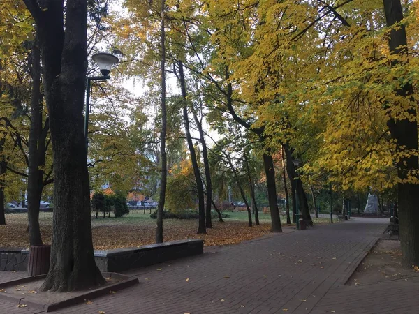 Облачный Осенний День Идеально Подходит Прогулки Парку — стоковое фото