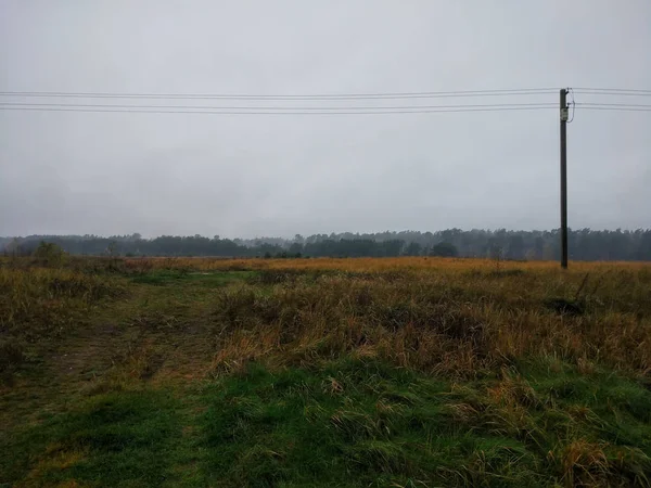 Kabel Listrik Latar Belakang Lapangan Dan Hutan Musim Gugur — Stok Foto