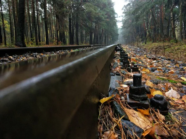 Railway Background Autumn Forest — Stock Photo, Image