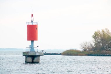 Deniz fenerleri suyun üzerinde duruyor.