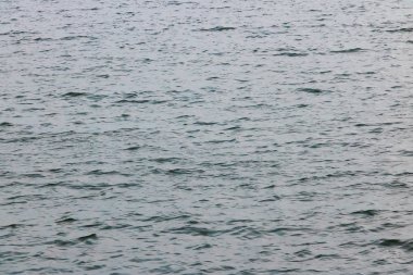 Denizde mavi su dalgaları