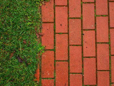 red brick background and green grass