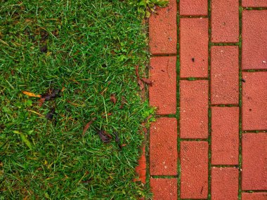 red brick background and green grass